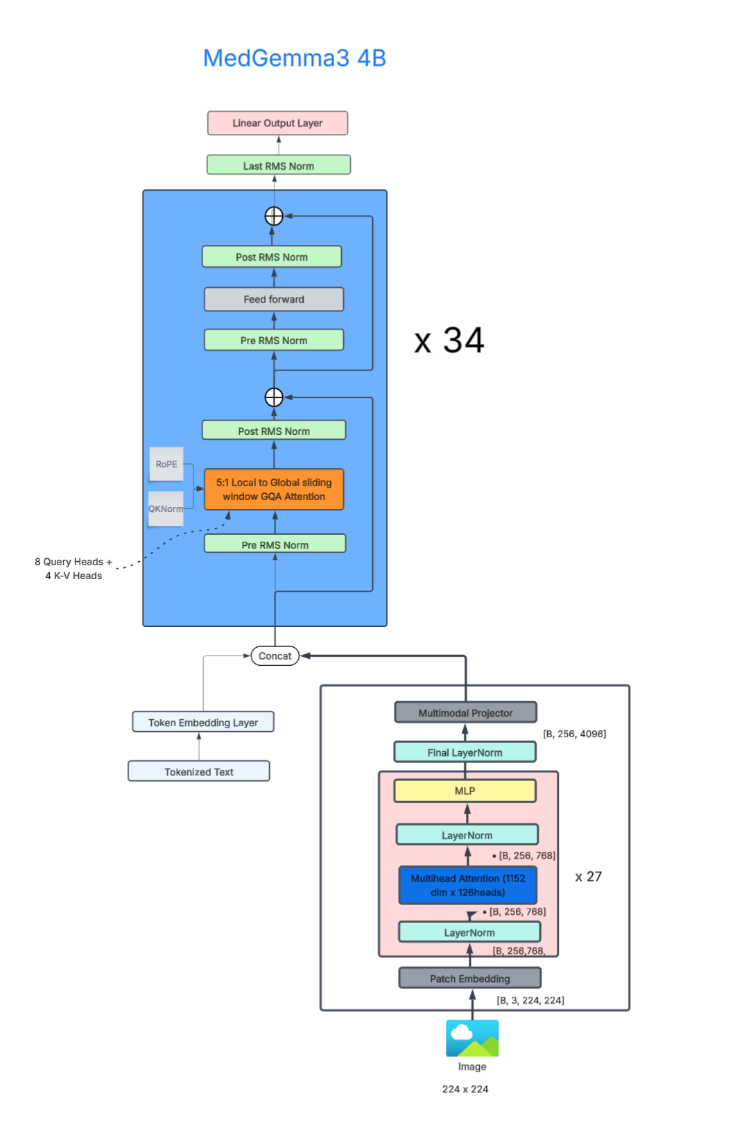 Architecture diagram of MedGemma3 4B. An image enters the vision tower: patch embedding, then 27 encoder blocks of LayerNorm, multi-head attention, LayerNorm, and MLP, then a final LayerNorm and a multimodal projector that outputs 256 image tokens. Text is tokenized and passed through a token embedding layer. The image tokens and embedded text tokens are concatenated and read by 34 decoder blocks, each with pre and post RMSNorm around 5-to-1 local-to-global sliding-window grouped-query attention with rotary position embeddings and QK-norm, 8 query and 4 key-value heads, and a feed-forward stage, followed by a last RMSNorm and a linear output layer.
