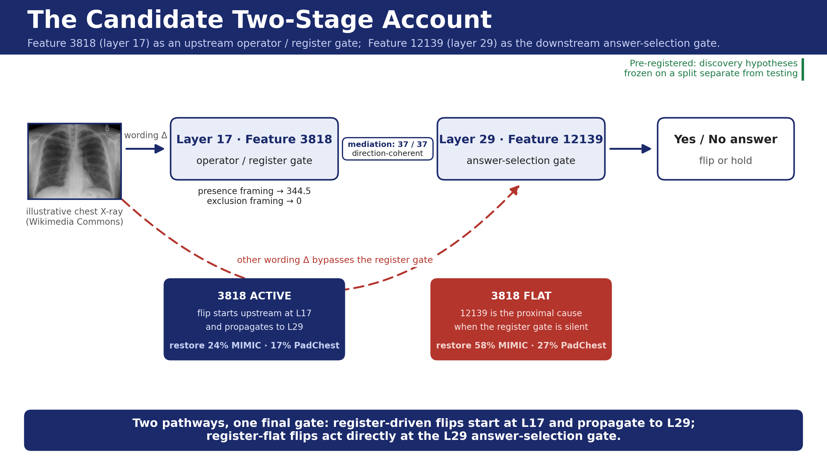 Diagram of the candidate two-stage account. A chest X-ray and a reworded question enter at left; the signal passes through layer 17 feature 3818, the operator or register gate, then layer 29 feature 12139, the answer-selection gate, then the yes or no answer. When 3818 is active the flip starts at layer 17 and propagates downstream, restoring 24 percent of flips on MIMIC and 17 percent on PadChest; when 3818 is flat, 12139 is the proximal cause, restoring 58 percent and 27 percent. The link between the gates is direction-coherent on all 37 mediation pairs.
